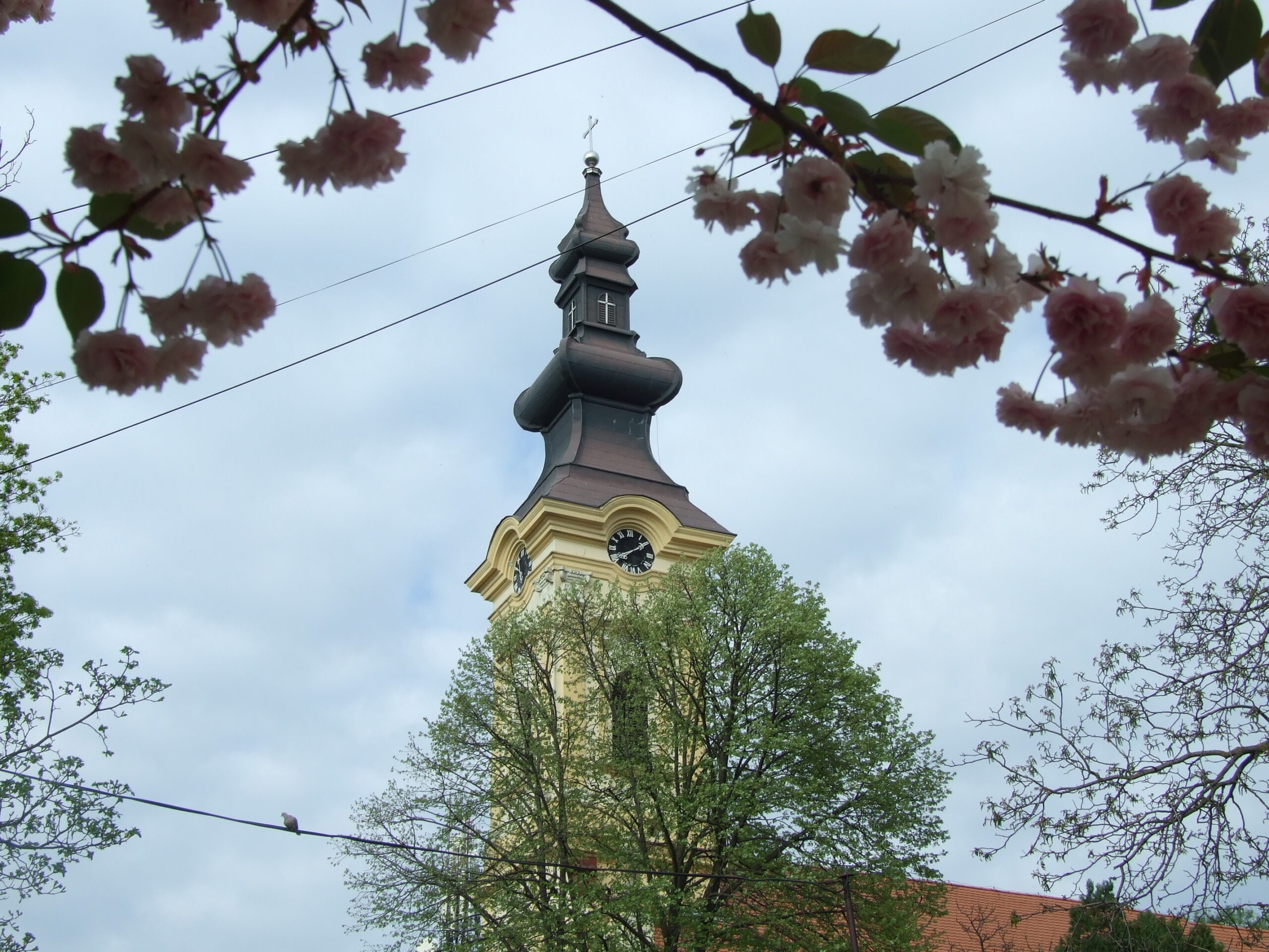 Toranj-Velike-crkve