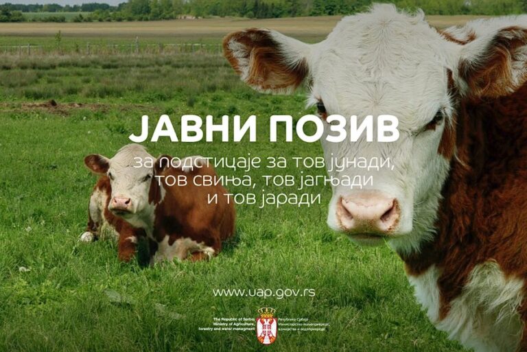 PRVI JAVNI POZIV ZA PODSTICAJE: Tov junadi, svinja, jaradi i jagnjadi