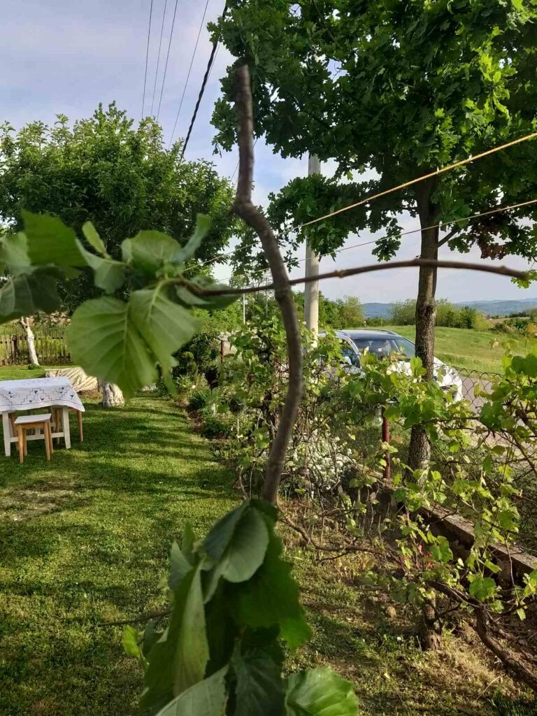 Ko ima kapiju, i devojku za udaju, nek vodi računa pred Đurđevdan