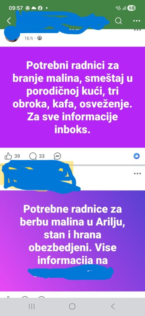 Voćari u problemu: Traže berače voća, ali sve manje ljudi želi u nadnicu