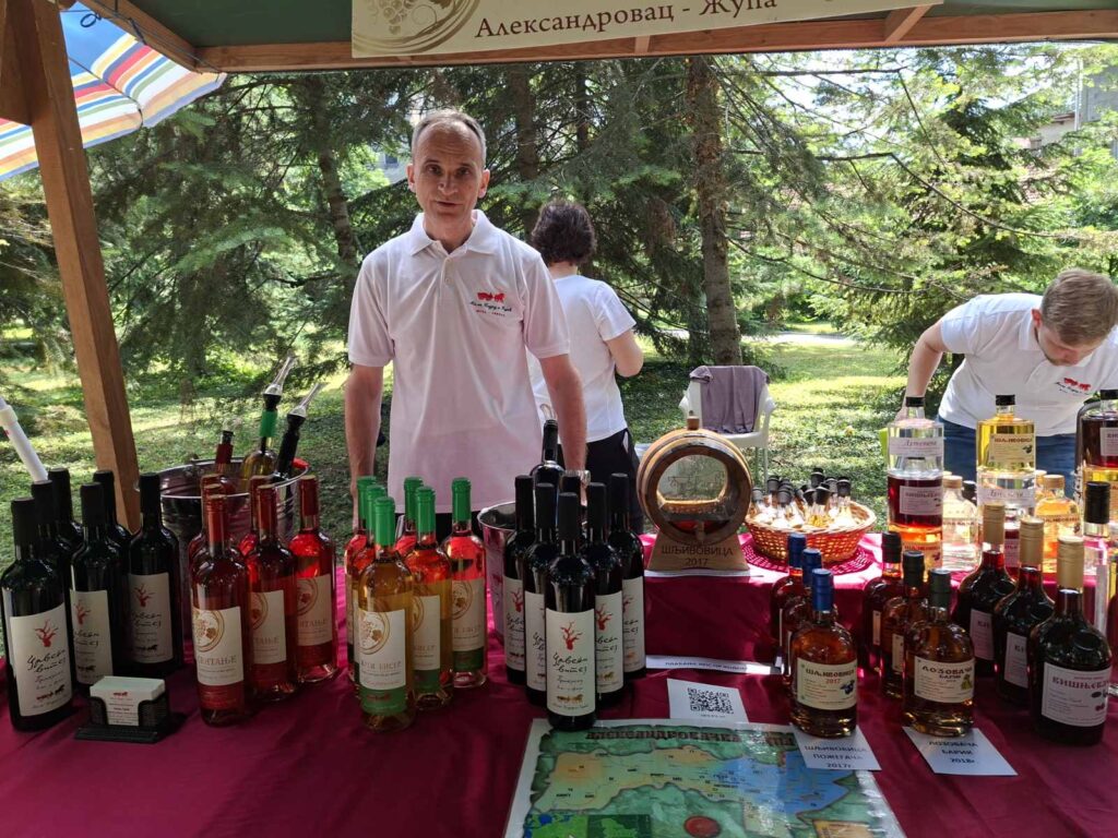 Vinograd Gajića z 1915. godine na mestu za koje je Žan Deko rekao da je druga Burgundija Vinograd Gajića z 1915. godine na mestu za koje je Žan Deko rekao da je druga Burgundija