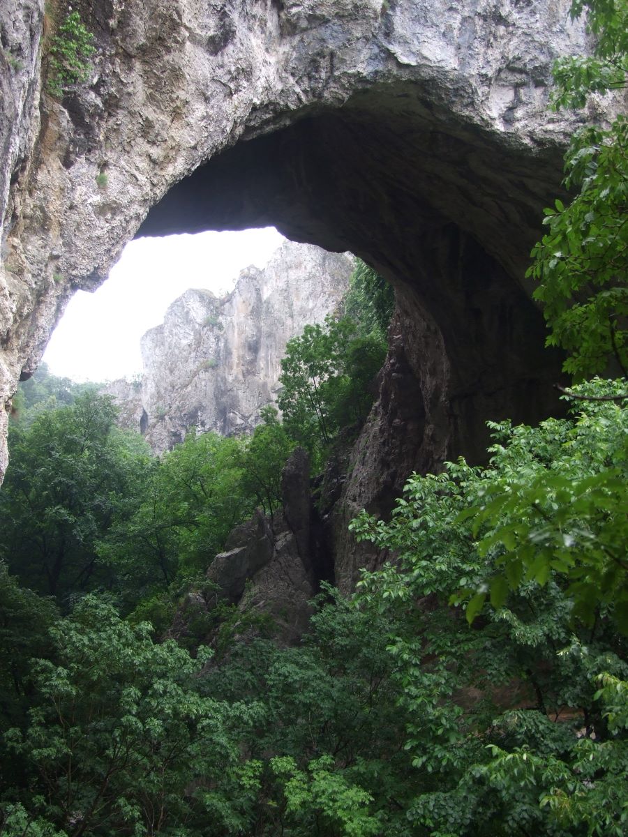 vratna-3