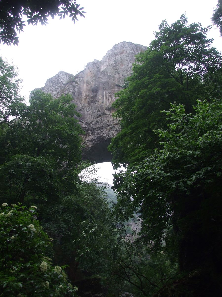 vratna-5